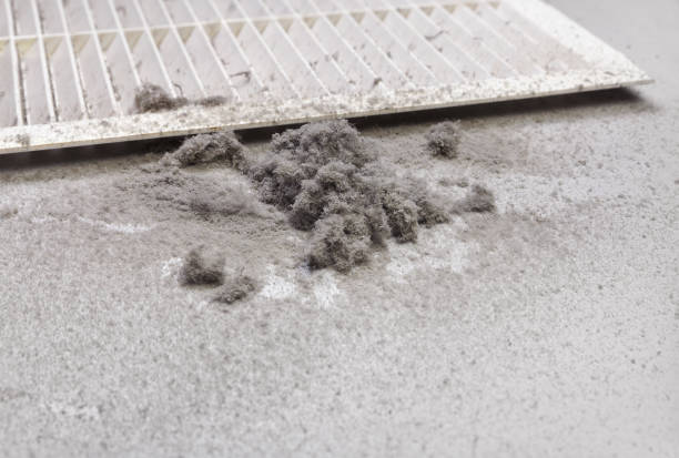 Best Affordable HVAC Duct Cleaning  in Chandler, AZ
