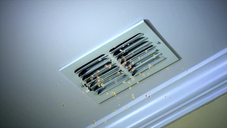 Best Professional Duct Cleaning Services  in Chandler, AZ