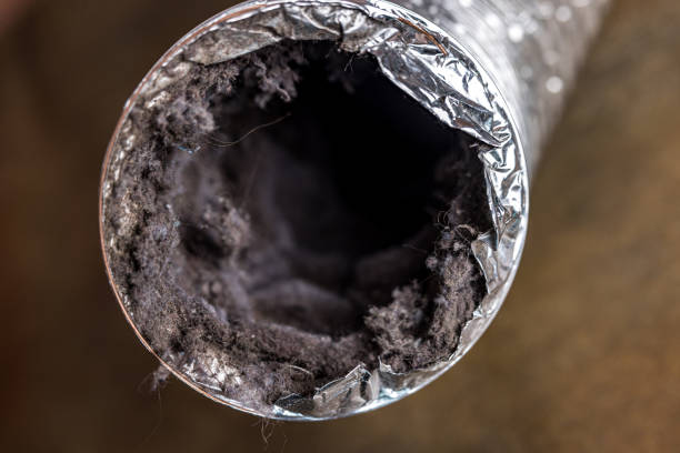 Best Dryer Vent Cleaning Services  in Chandler, AZ